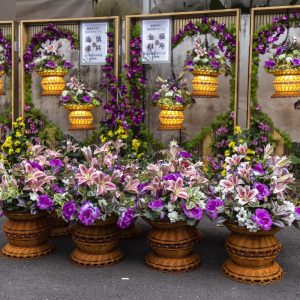 花仙子屏枫配套 / Local design flower fairy LED screen package