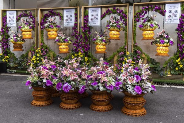 花仙子屏枫配套 / Local design flower fairy LED screen package